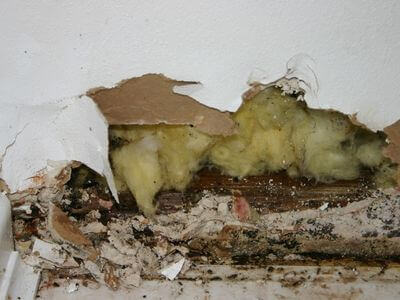 Professional water damage restoration services in Airway Heights - Water Damage Restoration Airway Heights